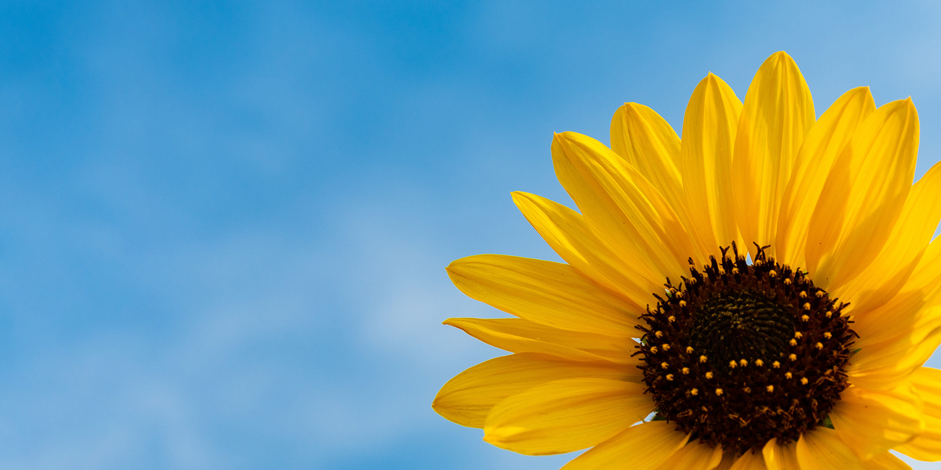 KU���Ρ�(�й���)�ٷ���վ